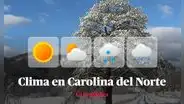Clima de HOY en Estados Unidos: pronóstico del tiempo en Carolina del Norte este 26 de diciembre, según NWS