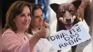 ‘Firulais’ se sumó al paro de transportistas y es viral por singular cartel: “DINA me das rabia”