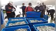 Produce autoriza reinicio de pesca de pejerrey desde el 27 de octubre