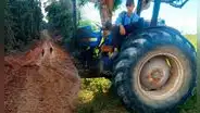 Fiscalía pide más de 8 años de prisión efectiva para menonitas, grupo religioso que deforesta la Amazonía