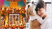 80 frases en el Día de Muertos de mascotas 2024: cortas y sentidas para dedicar a los animales fallecidos