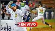 ¡Naufragan! Magallanes sufre su cuarta derrota seguida por la LVBP 2024-25 con 7-4 ante Tigres