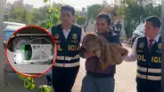Arequipa: detienen a psicólogo acusado de distribuir material de abuso sexual infantil