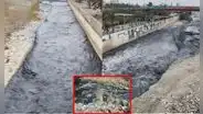 ¿Por qué el río Rímac, que abastece de agua a Lima, luce negro y con mal olor desde hace varios días?: descubre la causa del preocupante cambio