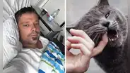 Su gato le mordió el dedo índice y, tras someterse a 15 cirugías, falleció: conoce el trágico caso de Henrik