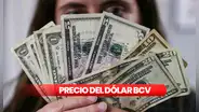 MIRA el precio del Dólar BCV y Dólar Paralelo HOY, 2 de noviembre en Venezuela, vía Banco Central