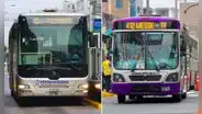 Feriado 1 de noviembre: conoce los horarios del Metropolitano, corredores y transporte público por Día de Todos los Santos