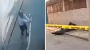 Terror en San Martín de Porres: hombre es asesinado de 15 disparos frente al centro comercial Plaza Norte