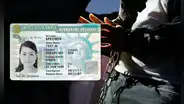¡Atención, INMIGRANTE!: estos DELITOS podrían hacer que te DENIEGUEN la Green Card en Estados Unidos