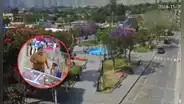 Imágenes muestran cómo se vivió el sismo de magnitud 6.0 en Cañete HOY, martes 5 de noviembre