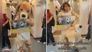 Peruana sube al Metro de Lima para encontrar a su perrita perdida hace 2 años: "No pierdo la fe"