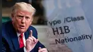 Malas noticias para inmigrantes: victoria de Trump podría perjudicar las solicitudes de la Visa H-1B en EE. UU.