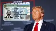 Adiós, Green Card en USA: los INMIGRANTES que perderán la residencia tras triunfo de Trump en las elecciones 2024