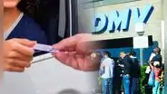 California: el grave error del DMV al imprimir licencias con el nombre equivocado de una ciudad