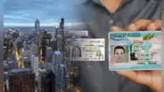 Real ID en Illinois: consulta aquí cuáles son los costos y requisitos para conseguir tu identificación en EE. UU.