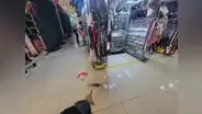 Dos heridos deja explosión de granada en mercado de SMP