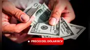 Dólar BCV y Dólar Paralelo: precio del dólar HOY, 9 de noviembre en Venezuela, vía Banco Central