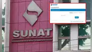 Sunat: ¿cómo saber el número de mi RUC solo con DNI o nombre?