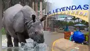 Parque de Las Leyendas lanza oferta de entradas a mitad de precio: requisitos y fecha límite de la promoción