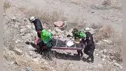 Hallan muerto a adulto mayor desaparecido hace 9 días en Arequipa: perros habrían atacado cuerpo