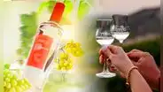 Gerente general de pisquera chilena indica que el pisco peruano deja mayor resaca: "Es un alcohol más impuro"