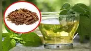 10 secretos milenarios de los Andes: conoce las plantas medicinales usadas para combatir enfermedades y fortalecer tu sistema inmunológico