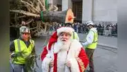 Árbol de Navidad gigante llegó a Nueva York: mide más de 20 metros y será encendido el próximo 4 de diciembre