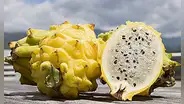 Pitahaya: beneficios, propiedades y desventajas de comer la 'Fruta del dragón'