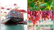 Perú en el top 5 de mayores exportadores de América Latina y El Caribe: ¿cuáles fueron los productos más solicitados?
