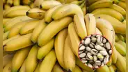 El fruto seco que supera al plátano: contiene más potasio y vitamina B6 en cada porción