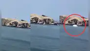 Avioneta se estrella en mar de San Bartolo: piloto habría realizado maniobras peligrosas sobre casas antes del choque
