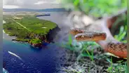 La isla más deteriorada de América podría colapsar en los próximos 50 años y no es la Amazonía