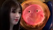 Científicos crean 'piel viva' con células humanas para que los robots se mezclen entre nosotros
