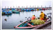Tardanza de PRODUCE en reglamentar la ley  de pesca artesanal favorece a la pesca ilegal
