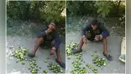 Hombre es sorprendido robando limones de un huerto y lo obligan a comérselos todos