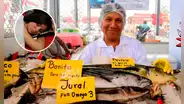 ¿Por qué comer pescado da sueño? Esta es la razón por la que te da ganas de dormir