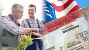 ¡Buenas noticias para inmigrantes! Estos 3 requisitos te dan la visa del 'campo' y puedes trabajar en EE. UU.