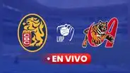 ¡Dulce venganza! Leones del Caracas vencieron 8-2 a Tigres e igualaron serie particular por la LVBP 2024-25