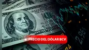 Precio del Dolar BCV y Dólar Paralelo HOY, 19 de noviembre en Venezuela, vía Banco Central