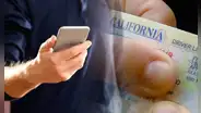 Licencia de conducir en California: así podrás trasladar tu documento digital para conducir en tu celular en USA