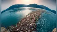 La isla de basura en el Pacífico Norte sigue creciendo: científicos alertan sobre el rápido aumento de plásticos