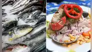 ¿Qué pescado es ideal para ceviche? Descubre las mejores especies para este plato peruano