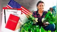 Buenas noticias, inmigrantes en EE. UU.: la nueva visa que te permitiría trabajar temporalmente de manera legal