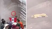 Captan a ‘Firulais’ descansando en la Montaña de 7 Colores y usuarios resaltan: “El legendario pastor chiribaya”