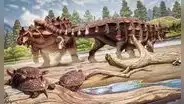Arqueólogos descubren una nueva especie de dinosaurio de más de 72 millones de años: pesaba más de 3 toneladas
