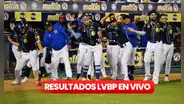 Resultados de la LVBP 2024 EN VIVO por internet: ¿cómo van los juegos de Magallanes, Leones y Tiburones?