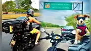 El joven que adaptó su moto para llevar a su perrita 'Frula' y recorren Sudamérica: "Ella es mi mayor motivación"