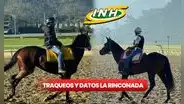 Traqueos y datos 5y6 La Rinconada EN VIVO, 24 de noviembre: sigue los pronósticos de Gaceta Hípica y Cordialito