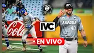 Navegantes del Magallanes derrota 3-1 a Tigres en Maracay y se aferra al segundo puesto de la LVBP 2024-25