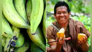 Postres de la selva peruana: las 5 recetas auténticas para preparar en casa